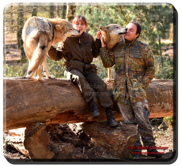 Foto Michael Schönberger - Wölfe - Wolfspark Werner Freund